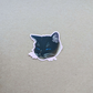 Cats 3" Sticker